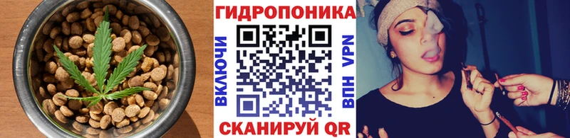 купить наркотики сайты  маркетплейс какой сайт  Печенье с ТГК марихуана  Гдов 