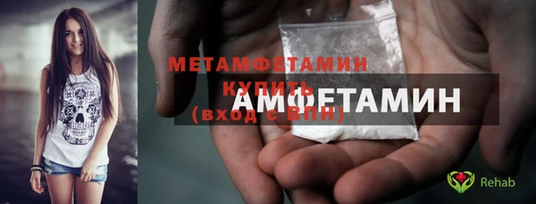 шишки Билибино