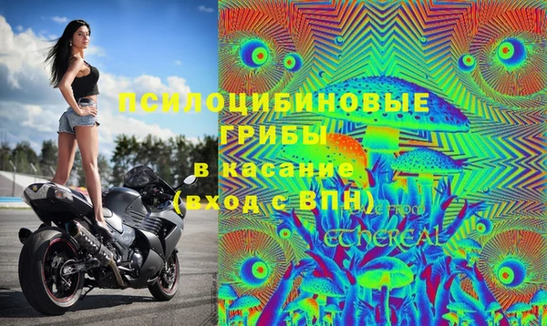 мяу мяу мука Армянск